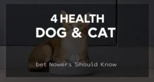 4health