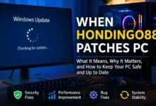 when hondingo88 patches pc